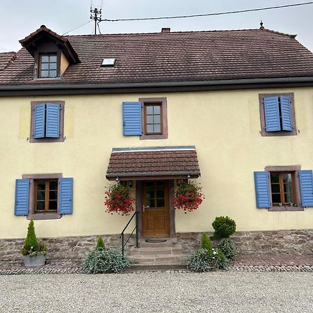 Gite La Maison De Jules Muntzenheim Dış mekan fotoğraf