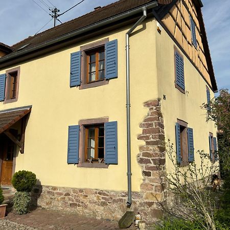 Gite La Maison De Jules Muntzenheim Dış mekan fotoğraf