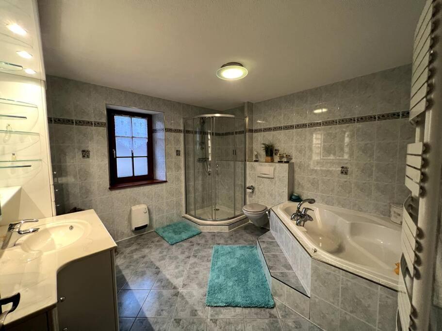 Gite La Maison De Jules Muntzenheim Dış mekan fotoğraf