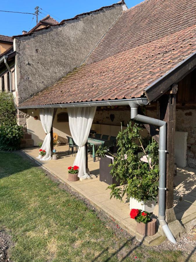 Gite La Maison De Jules Muntzenheim Dış mekan fotoğraf