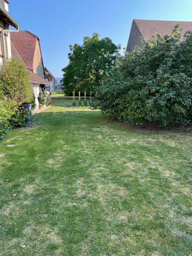 Gite La Maison De Jules Muntzenheim Dış mekan fotoğraf